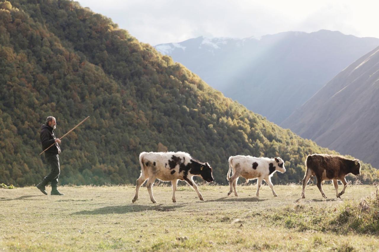 Rooms Hotel Kazbegi Exterior photo A shepherd with his cattle in the Caucasus Mountains