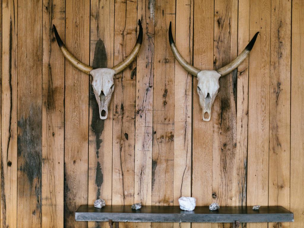 Rooms Hotel Kazbegi Exterior photo Cattle skulls mounted on a wall